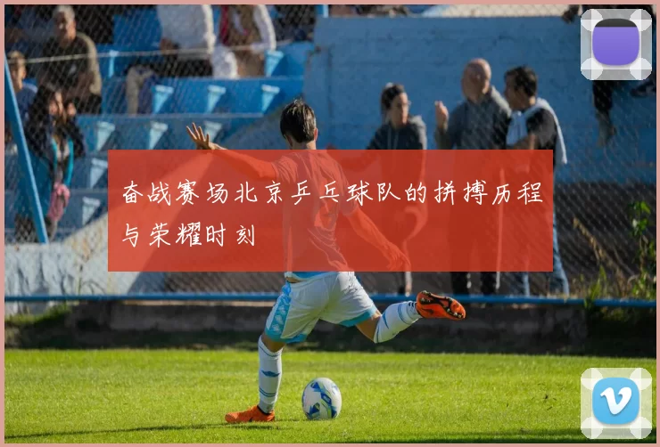 奋战赛场北京乒乓球队的拼搏历程与荣耀时刻