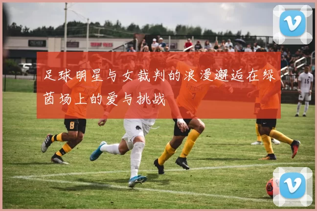 足球明星与女裁判的浪漫邂逅在绿茵场上的爱与挑战
