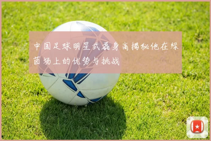 中国足球明星武磊身高揭秘他在绿茵场上的优势与挑战