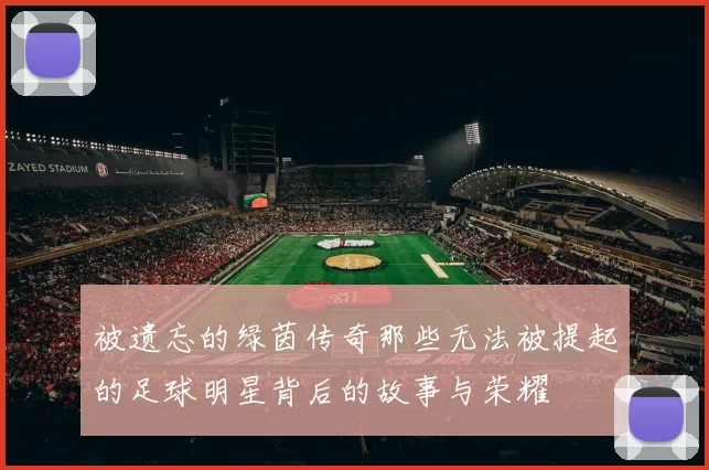 被遗忘的绿茵传奇那些无法被提起的足球明星背后的故事与荣耀