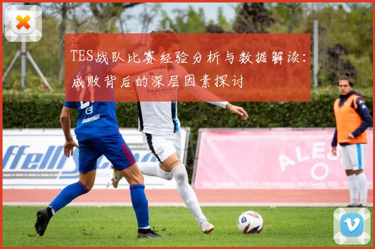 TES战队比赛经验分析与数据解读：成败背后的深层因素探讨