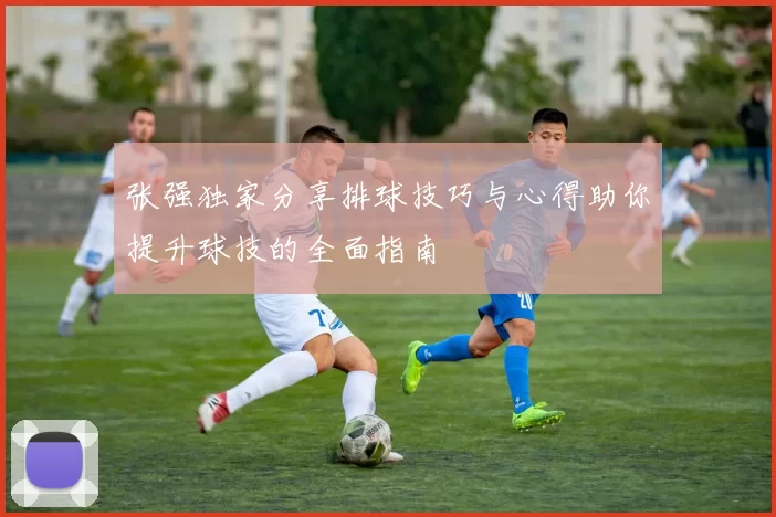 张强独家分享排球技巧与心得助你提升球技的全面指南