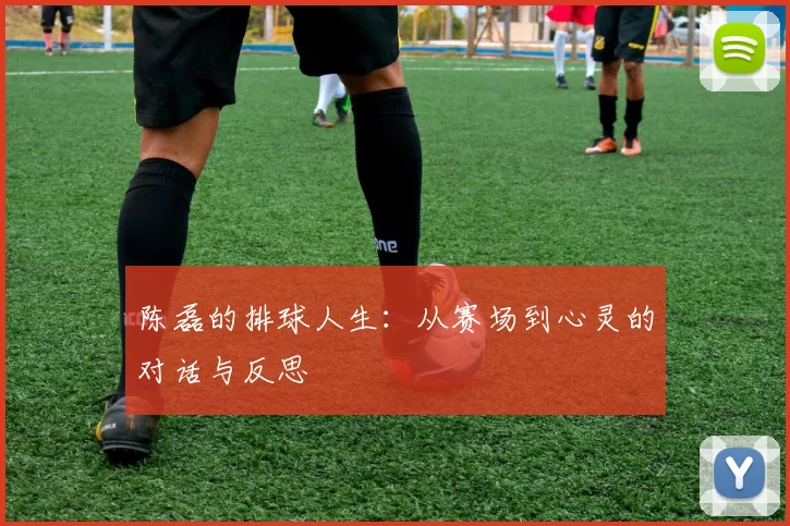 陈磊的排球人生：从赛场到心灵的对话与反思