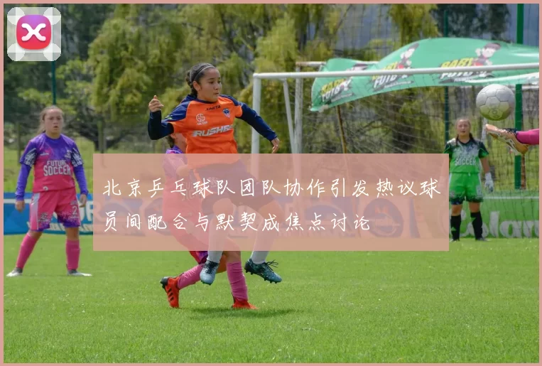 北京乒乓球队团队协作引发热议球员间配合与默契成焦点讨论