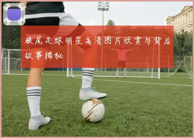狼尾足球明星高清图片欣赏与背后故事揭秘
