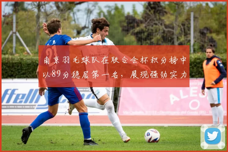 南京羽毛球队在联合会杯积分榜中以89分稳居第一名，展现强劲实力