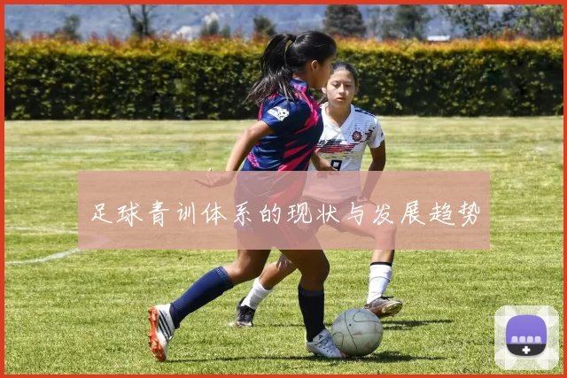 足球青训体系的现状与发展趋势