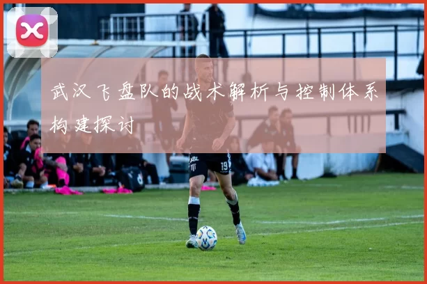 武汉飞盘队的战术解析与控制体系构建探讨