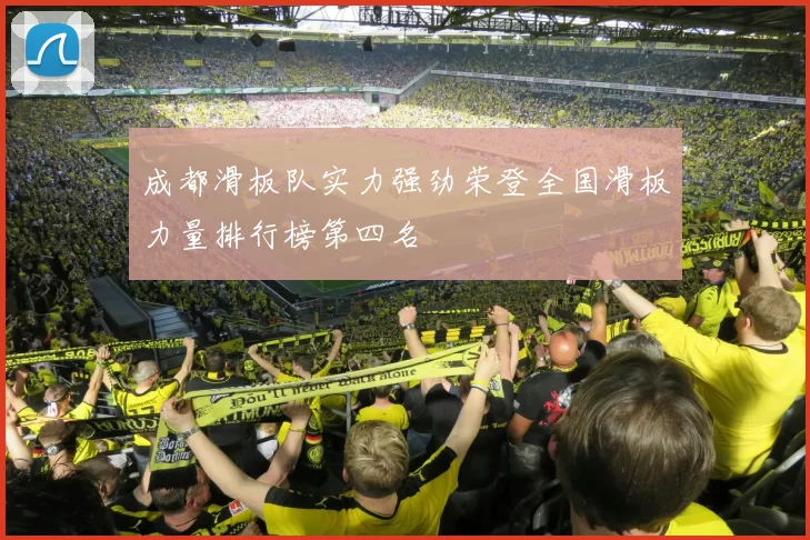成都滑板队实力强劲荣登全国滑板力量排行榜第四名