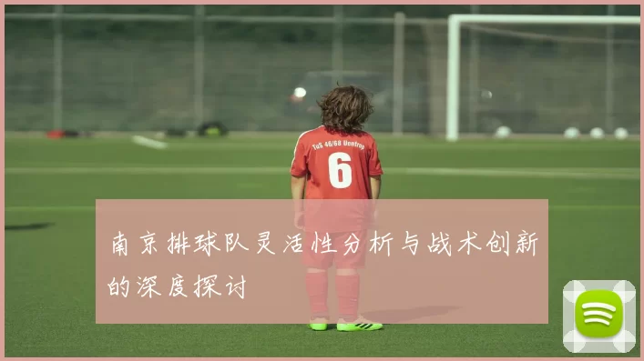 南京排球队灵活性分析与战术创新的深度探讨