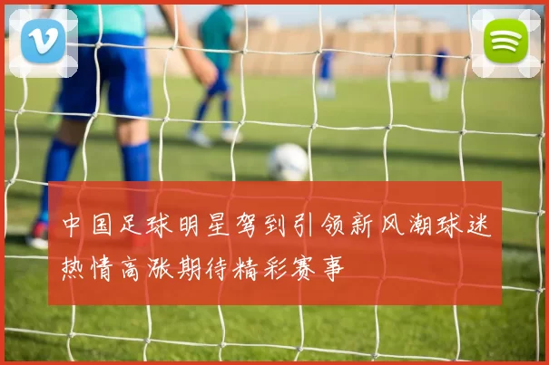 中国足球明星驾到引领新风潮球迷热情高涨期待精彩赛事