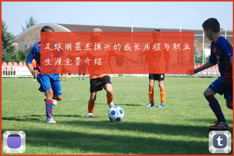 足球明星王振兴的成长历程与职业生涯全景介绍