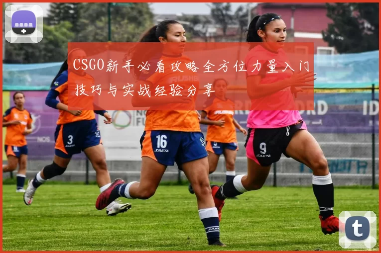 CSGO新手必看攻略全方位力量入门技巧与实战经验分享
