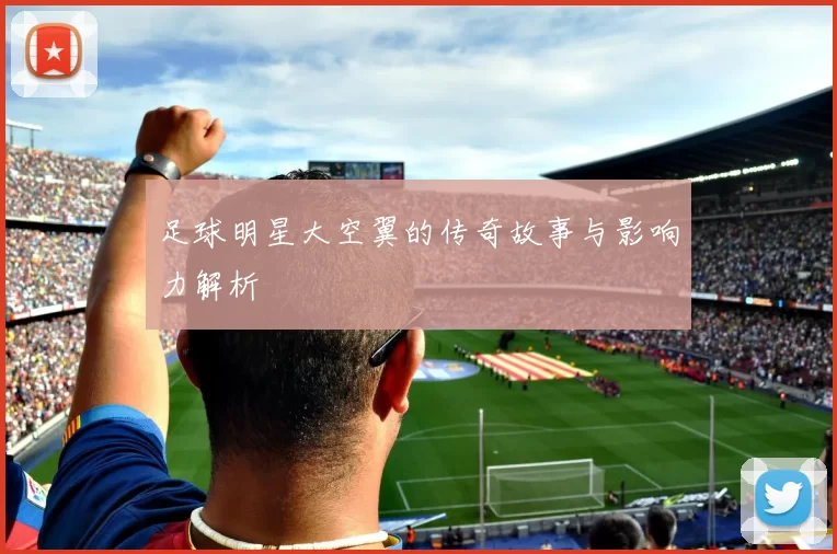 足球明星大空翼的传奇故事与影响力解析