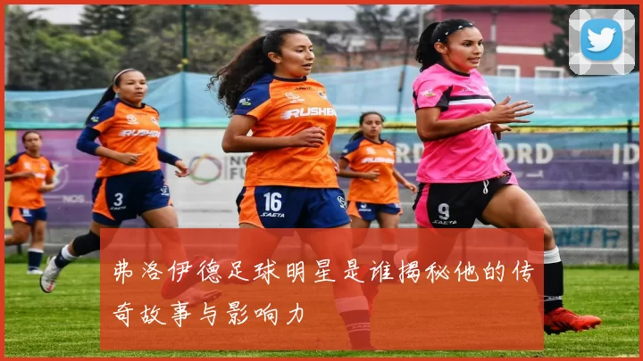 弗洛伊德足球明星是谁揭秘他的传奇故事与影响力