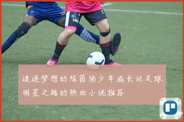 追逐梦想的绿茵场少年成长记足球明星之路的热血小说推荐
