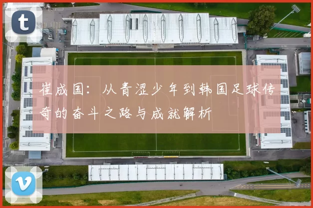 崔成国：从青涩少年到韩国足球传奇的奋斗之路与成就解析
