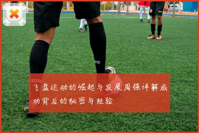 飞盘运动的崛起与发展周强详解成功背后的秘密与经验