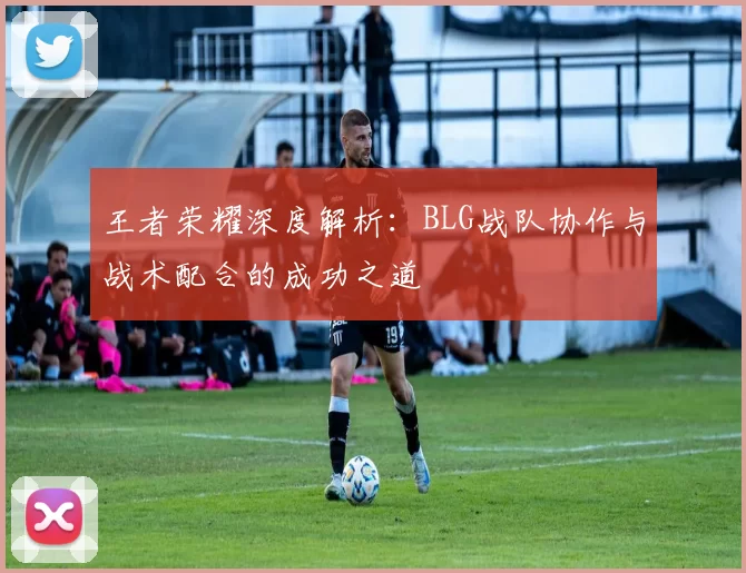 王者荣耀深度解析：BLG战队协作与战术配合的成功之道