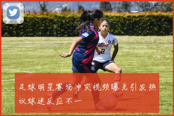 足球明星赛场冲突视频曝光引发热议球迷反应不一