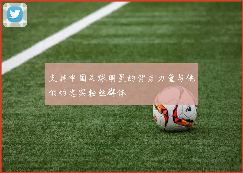 支持中国足球明星的背后力量与他们的忠实粉丝群体