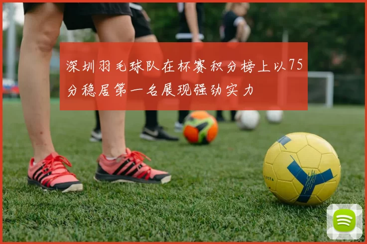 深圳羽毛球队在杯赛积分榜上以75分稳居第一名展现强劲实力