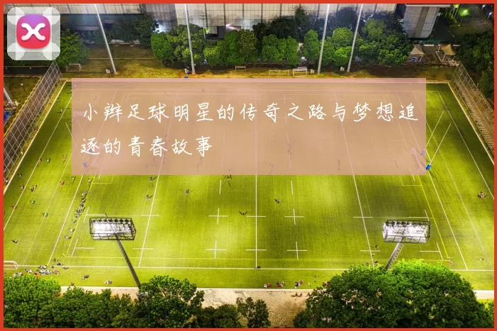 小辫足球明星的传奇之路与梦想追逐的青春故事