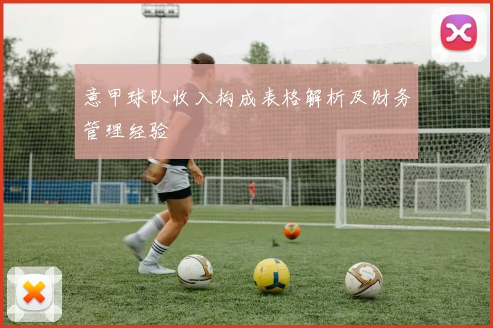 意甲球队收入构成表格解析及财务管理经验