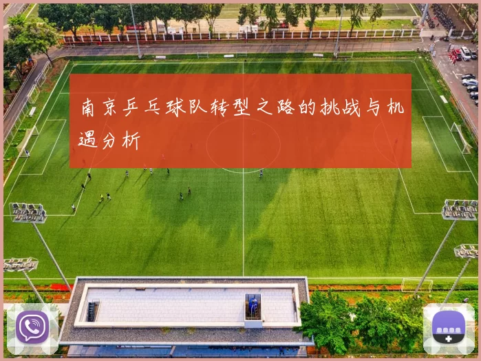 南京乒乓球队转型之路的挑战与机遇分析