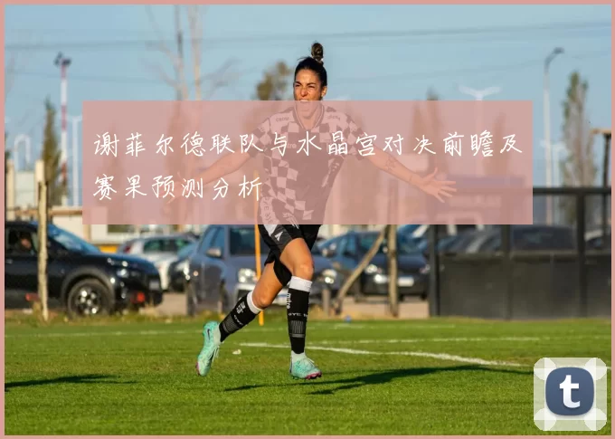 谢菲尔德联队与水晶宫对决前瞻及赛果预测分析