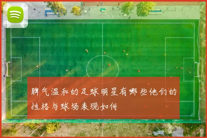 脾气温和的足球明星有哪些他们的性格与球场表现如何