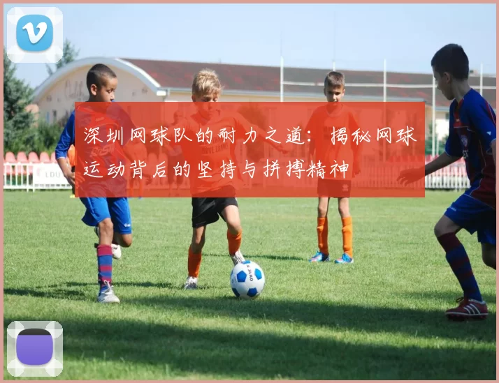 深圳网球队的耐力之道：揭秘网球运动背后的坚持与拼搏精神