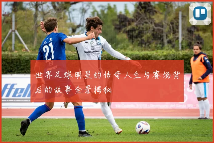 世界足球明星的传奇人生与赛场背后的故事全景揭秘